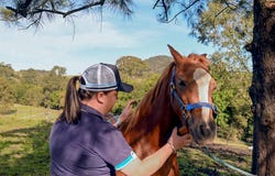 689 The Bucketts Way, Stroud Road, NSW 2415