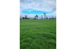 40 Davies Road, Parkham, Tas 7304