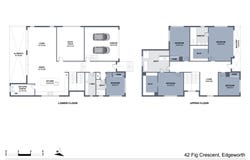 42 Fig Crescent, Edgeworth, NSW 2285