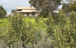 298 Railway Terrace, Coonamia, SA 5540
