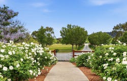 8 Woodswallow Close, Moore Creek, NSW 2340