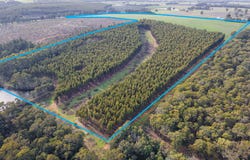 Lot 3 Perup Road, Manjimup, WA 6258