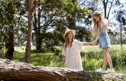 Lot 342, 153 Ferdinand Drive (Oak Grove), Clyde North, Vic 3978