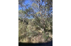 Lot 1 Marloo Avenue, Fraser Island, Qld 4581