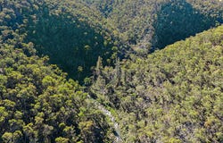 94 Oakey Forest Road, Lithgow, NSW 2790