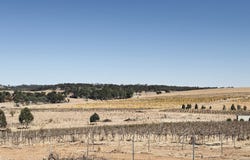 Lot 31, 235 Basham Rd, Stanley Flat, SA 5453