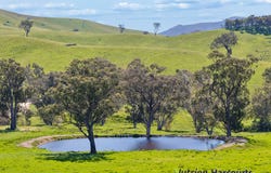 61 Guymers Road, Homewood, Vic 3717