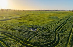 Lot 1 Burgess Lane, Naracoorte, SA 5271