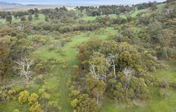 110 Daisyburn Road, Hilldene, Vic 3660