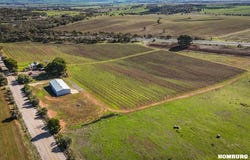 43 Hempel Road, Daveyston, SA 5355