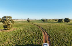 38 Tallawonga Road, Elong Elong, NSW 2831