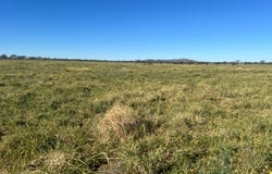 " Bellevue ", Yaraka, Qld 4731