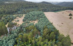 1927 Wilmot Road, Lower Wilmot, Tas 7310