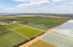 190 Delite Way, Red Cliffs, Vic 3496