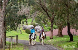 45 Broad Acres Road, Panton Hill, Vic 3759