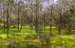 1059 Old Maitland Road, Sawyers Gully, NSW 2326