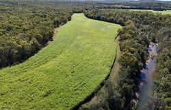 198 Campbells Crebers Road, Carmila, Qld 4739