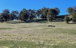 Lower Hotham, Quindanning, WA 6391