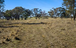 Lot 192 & 253 Yewrangara Street, Bigga, NSW 2583
