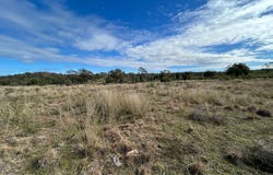2939 Mosquito Creek Road, Mosquito Creek, Qld 4387