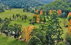 541 Yango Creek Road, Laguna, NSW 2325