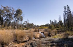 250 Springwood Park Road, Gulgong, NSW 2852