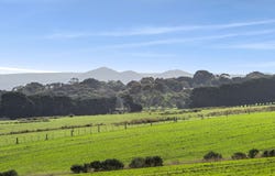 300-320 Murradoc Road, Drysdale, Vic 3222