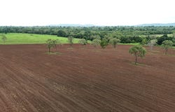 2583  Isabella McIvor Road, Cooktown, Qld 4895