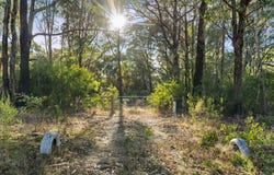 Lot 25 Burke and Wills Track, Benloch, Vic 3435