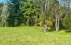 Lot 1, 737 Gregory Cannon Valley Rd, Strathdickie, Qld 4800