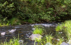 Lot 15 Gradys Creek Road, Cougal, NSW 2474