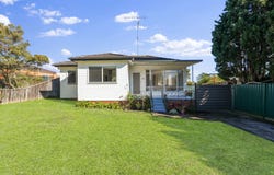 166 Adler Parade, Greystanes, NSW 2145