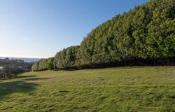 18 Alexander Street, Leith, Tas 7315