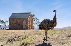 Lot 8 Ben Major Track, Mount Lonarch, Vic 3468