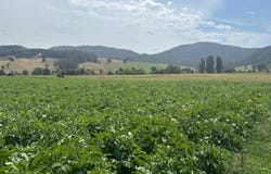 978 Gunns Plains Road, Gunns Plains, Tas 7315