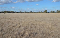 1898 Patyah Road, Edenhope, Vic 3318