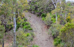 Mount Coora Road, Black Snake, Qld 4600