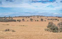 181 & 227, 31 Hillside Road, Moorwatha, NSW 2640