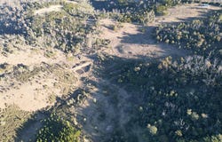 35 Mares Forest Road, Wombeyan Caves, NSW 2580