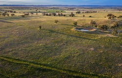 485 One Tree Hill Lane, Maryvale, NSW 2820