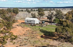481 Younga Plains Road, West Wyalong, NSW 2671
