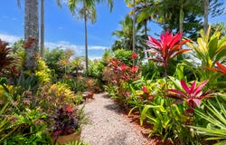 2/33-37 Trinity Beach Road, Trinity Beach, Qld 4879