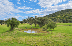 88 Mount Cobla Road, Currabubula, NSW 2342