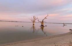Lot 25 Queen Elizabeth Drive, Barmera, SA 5345