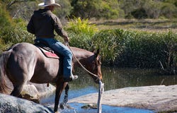 Puglisi Road, Dalveen, Qld 4374
