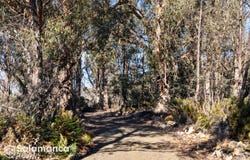 329 Arthurs Lake Rd, Arthurs Lake, Tas 7030