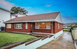 225 Edgar Street, Condell Park, NSW 2200