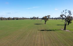 PP2180 Boralma-Rutherglen Road, Springhurst, Vic 3682