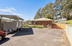 212 Ellis Road, Abbotsham, Tas 7315