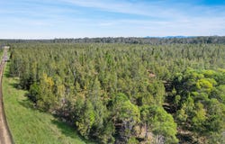 Lot 1A, 919 Clearfield Road, Myrtle Creek, NSW 2469